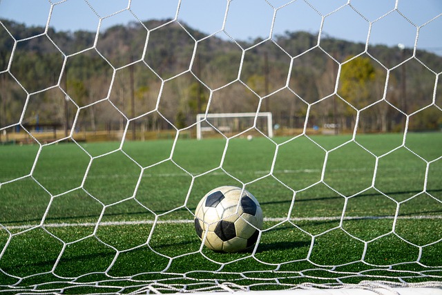 对阵雄鹿的 对阵雄鹿的