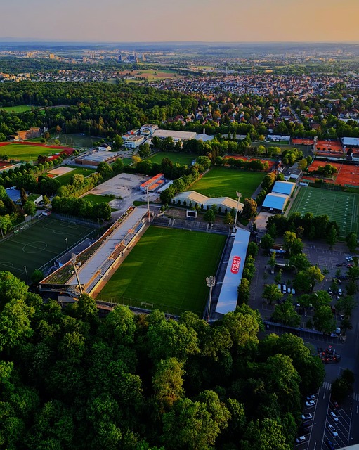 一种趋势 一种趋势