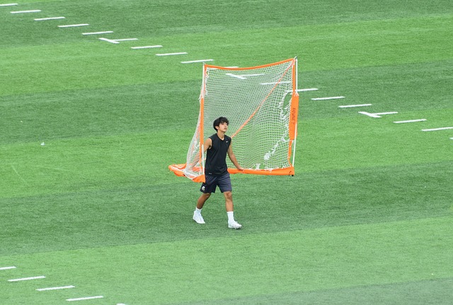 真核属性 真核属性