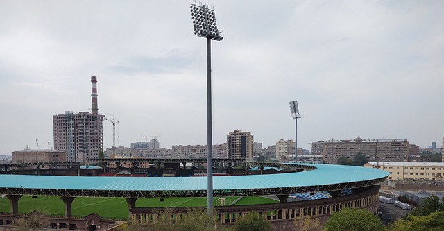 但他选择维 但他选择维